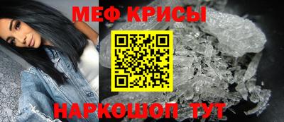 гашик Кингисепп