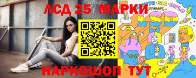 гашик Кингисепп