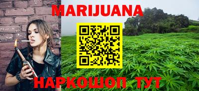 гашик Кингисепп