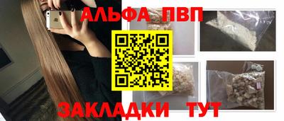 гашик Кингисепп