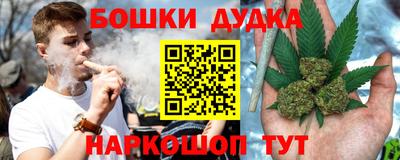 крисы Кинель