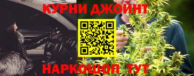 гашик Кингисепп