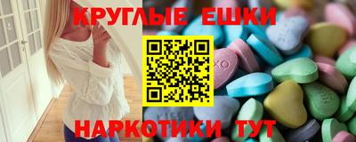 гашик Кингисепп