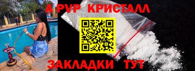 гашик Кингисепп