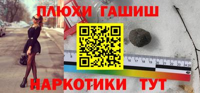гашик Кингисепп
