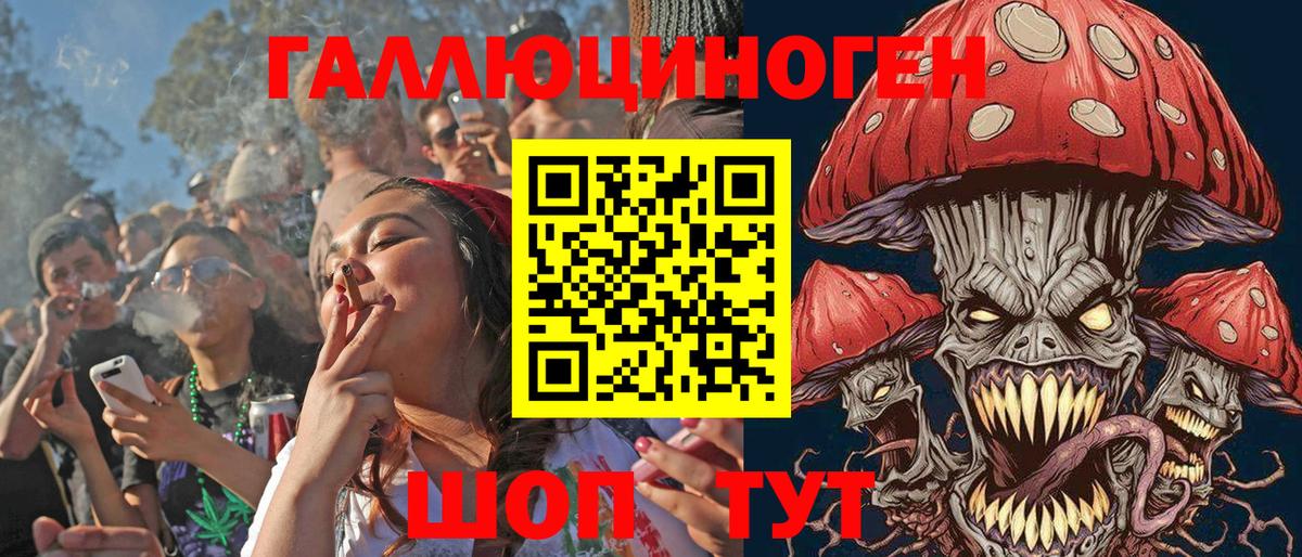 Кропоткин  Псилоцибиновые грибы Psilocybe  Вход с VPN 